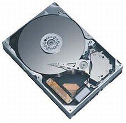 Hochleistungs-Harddisk 1000 GB fr Server Betrieb 7 x 24 h [SERT1TB]