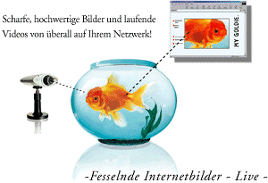 AXIS mit Goldfish